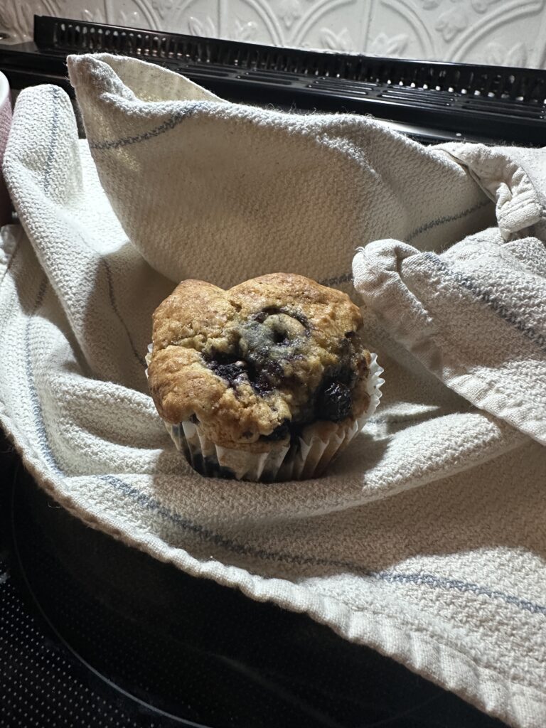 Whole Wheat Sourdough Discard Blueberry Muffins Recipe